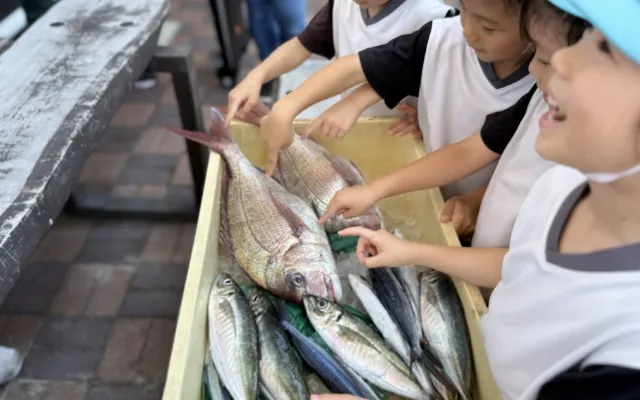 魚のお話を聞いて実際に触れてみます